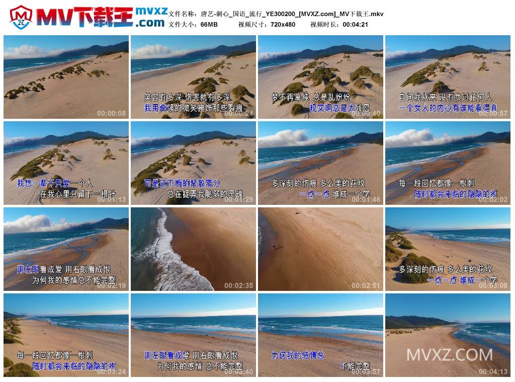 唐艺-刺心_国语_流行_YE300200